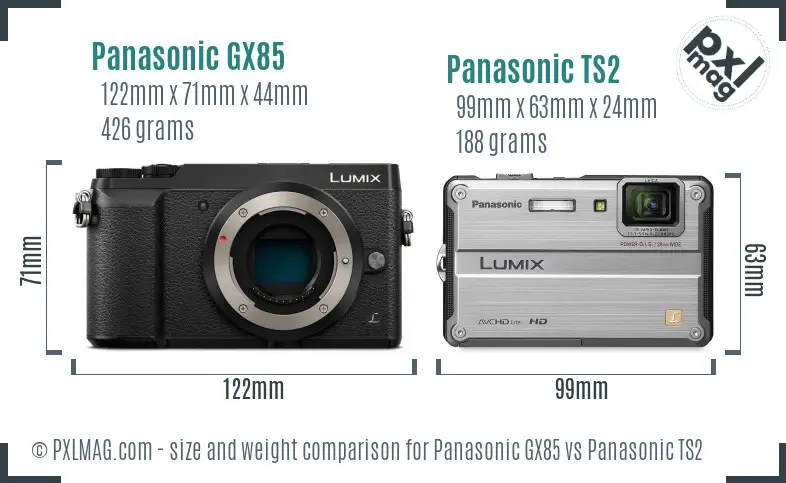 Panasonic GX85 vs Panasonic TS2 size comparison