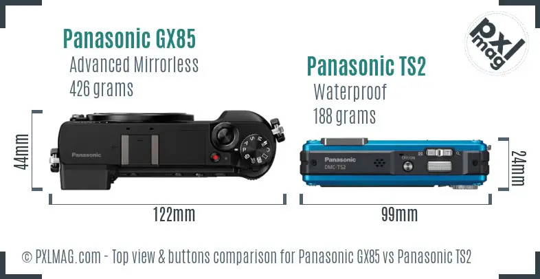 Panasonic GX85 vs Panasonic TS2 top view buttons comparison