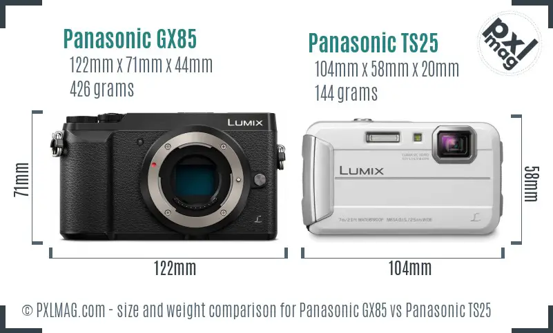 Panasonic GX85 vs Panasonic TS25 size comparison