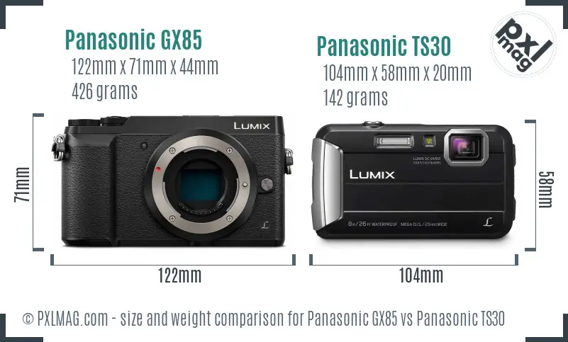 Panasonic GX85 vs Panasonic TS30 size comparison