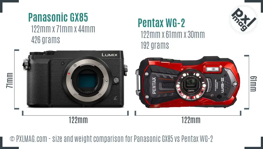 Panasonic GX85 vs Pentax WG-2 size comparison