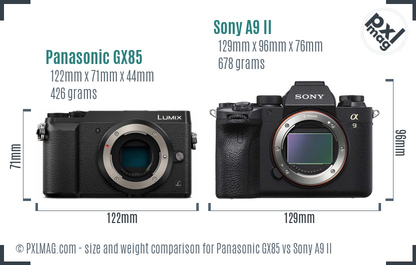 Panasonic GX85 vs Sony A9 II size comparison