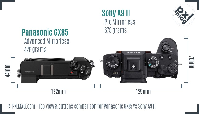 Panasonic GX85 vs Sony A9 II top view buttons comparison