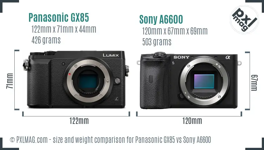 Panasonic GX85 vs Sony A6600 size comparison