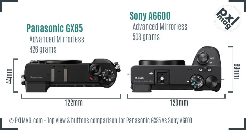 Panasonic GX85 vs Sony A6600 top view buttons comparison