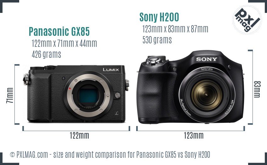 Panasonic GX85 vs Sony H200 size comparison