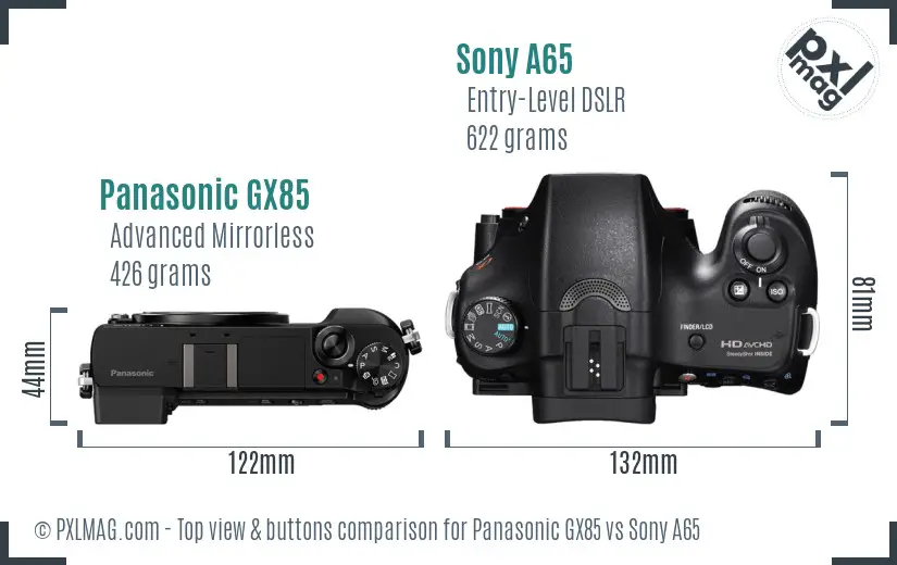 Panasonic GX85 vs Sony A65 top view buttons comparison