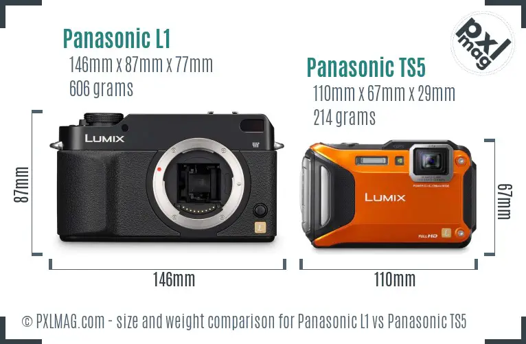 Panasonic L1 vs Panasonic TS5 size comparison