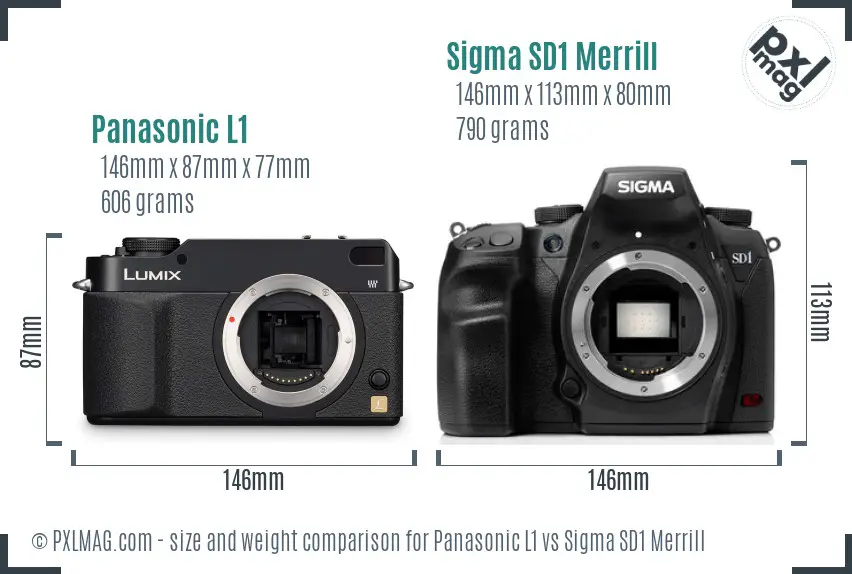Panasonic L1 vs Sigma SD1 Merrill size comparison