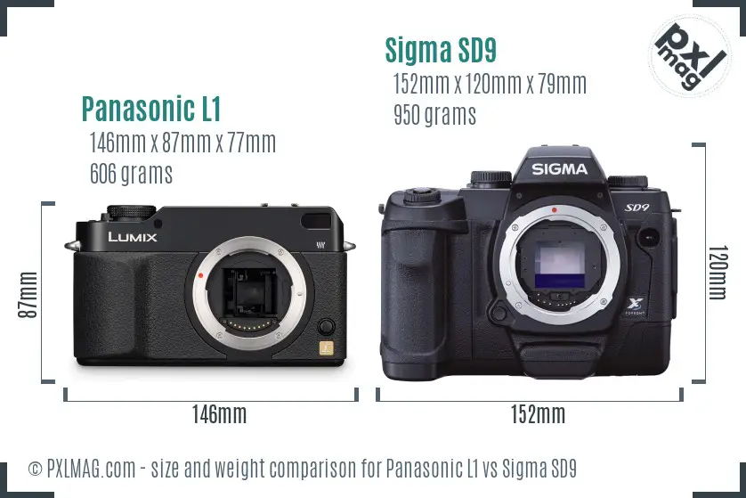 Panasonic L1 vs Sigma SD9 size comparison