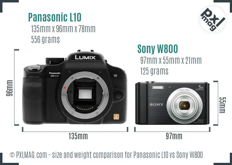 Panasonic L10 vs Sony W800 size comparison