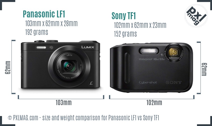 Panasonic LF1 vs Sony TF1 size comparison Panasonic LF1 vs Sony TF1 size comparison
