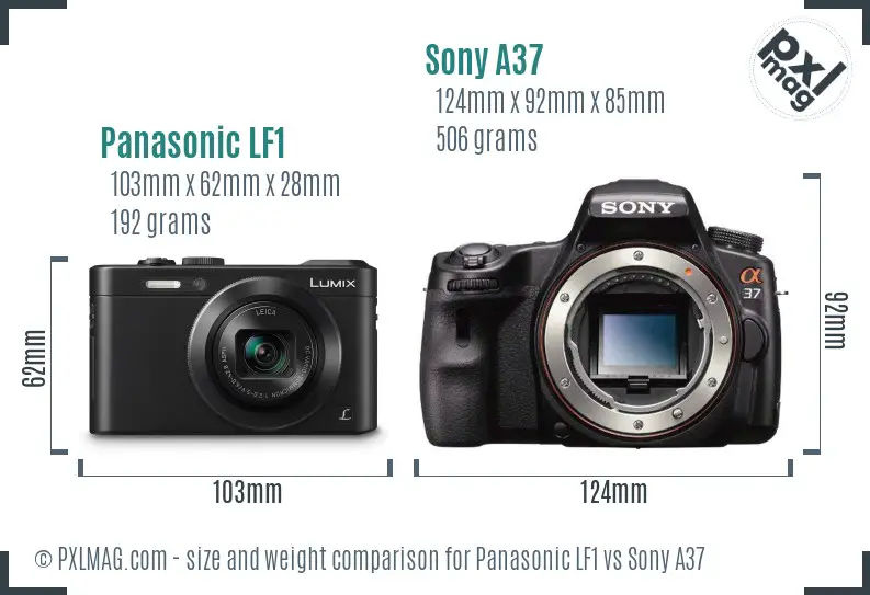 Panasonic LF1 vs Sony A37 size comparison