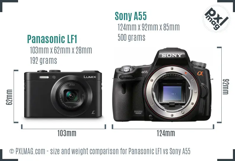 Panasonic LF1 vs Sony A55 size comparison