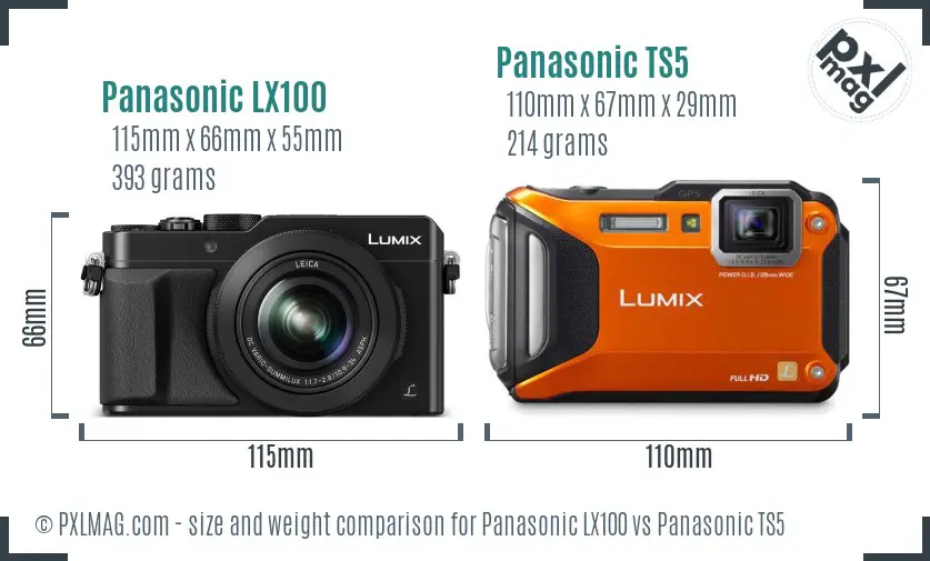 Panasonic LX100 vs Panasonic TS5 size comparison