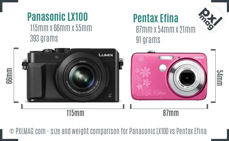 Panasonic LX100 vs Pentax Efina size comparison