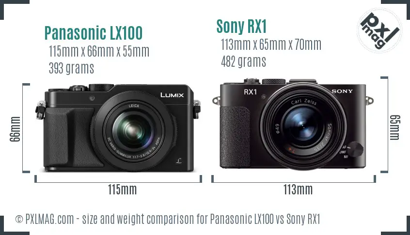 Panasonic LX100 vs Sony RX1 size comparison