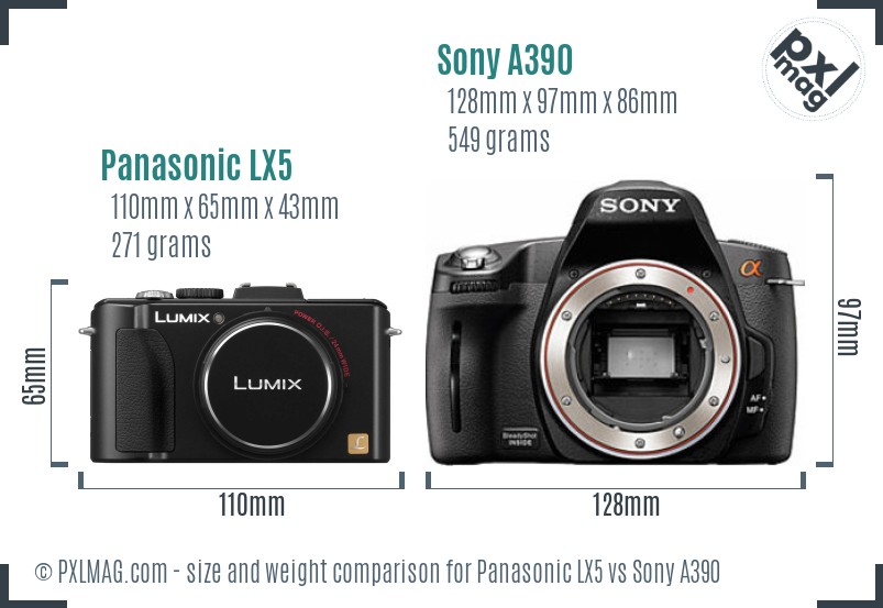 Panasonic LX5 vs Sony A390 size comparison