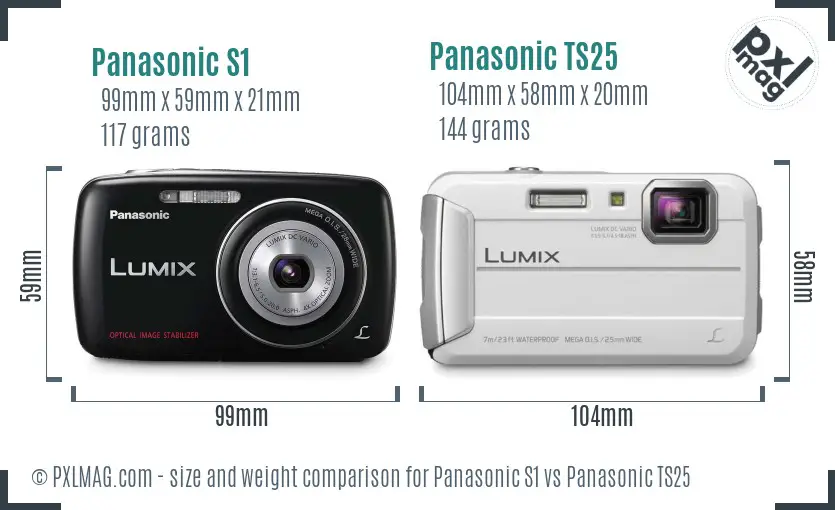 Panasonic S1 vs Panasonic TS25 size comparison