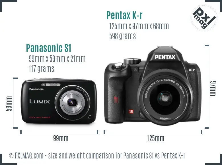 Panasonic S1 vs Pentax K-r size comparison