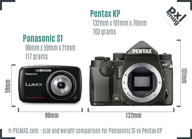 Panasonic S1 vs Pentax KP size comparison