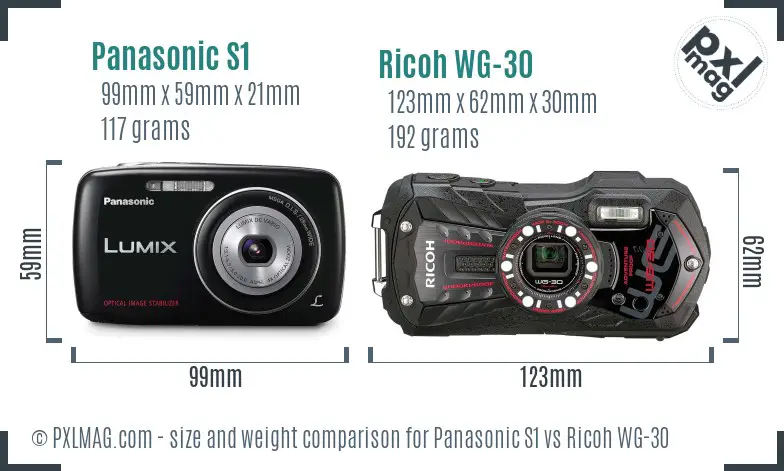 Panasonic S1 vs Ricoh WG-30 size comparison