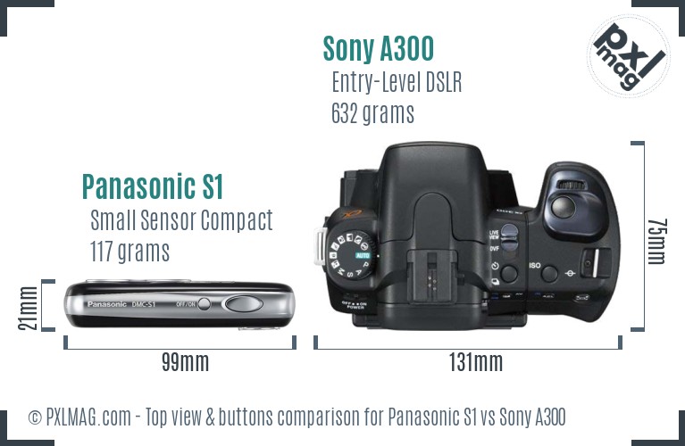 Panasonic S1 vs Sony A300 top view buttons comparison