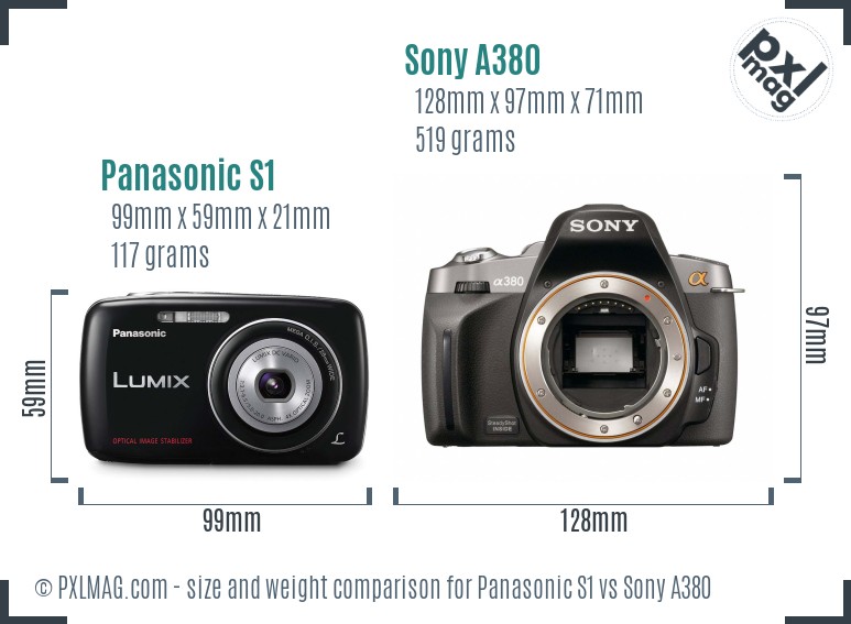 Panasonic S1 vs Sony A380 size comparison