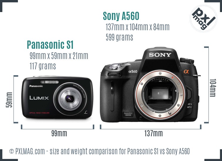 Panasonic S1 vs Sony A560 size comparison