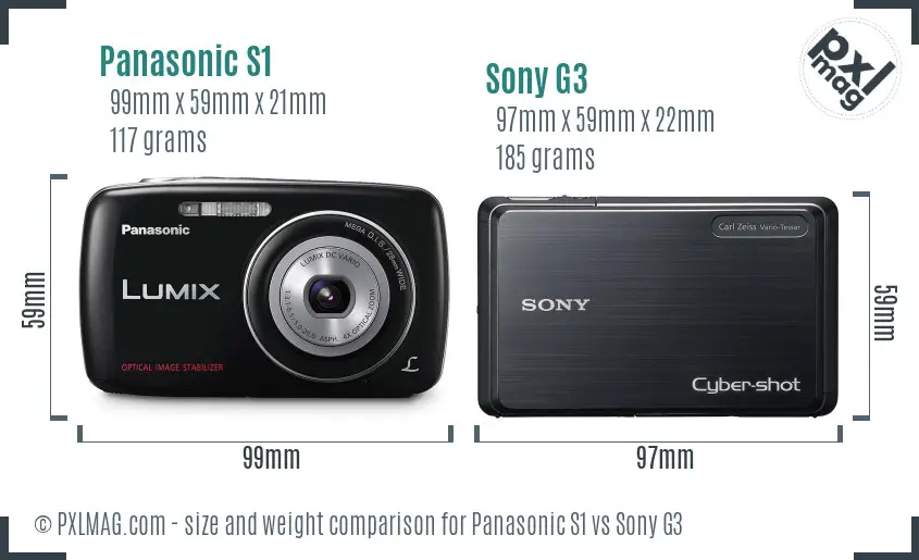 Panasonic S1 vs Sony G3 size comparison