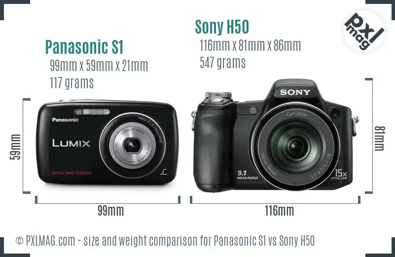 Panasonic S1 vs Sony H50 size comparison