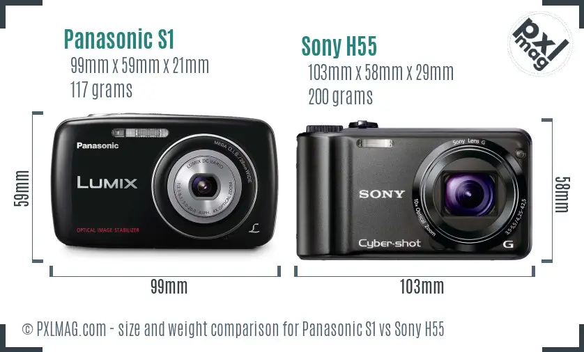 Panasonic S1 vs Sony H55 size comparison