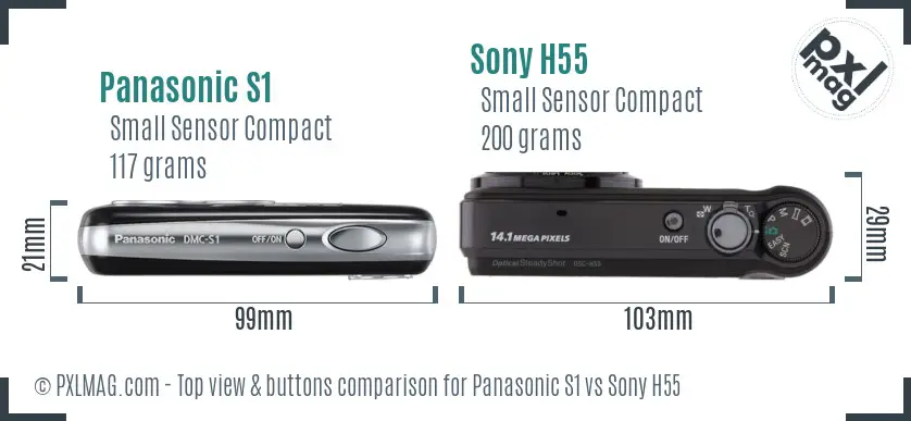 Panasonic S1 vs Sony H55 top view buttons comparison