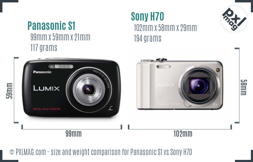 Panasonic S1 vs Sony H70 size comparison