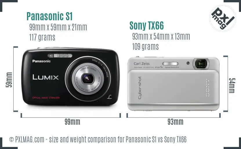 Panasonic S1 vs Sony TX66 size comparison