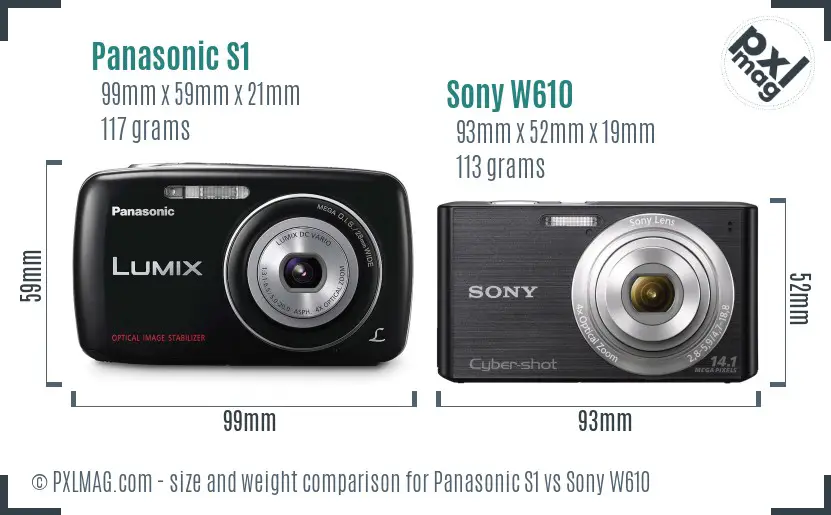 Panasonic S1 vs Sony W610 size comparison