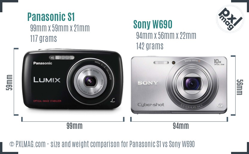Panasonic S1 vs Sony W690 size comparison