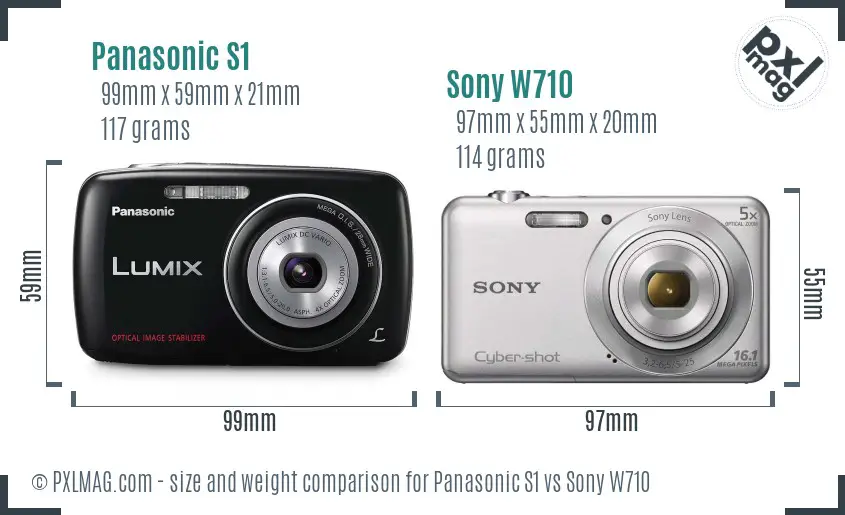 Panasonic S1 vs Sony W710 size comparison