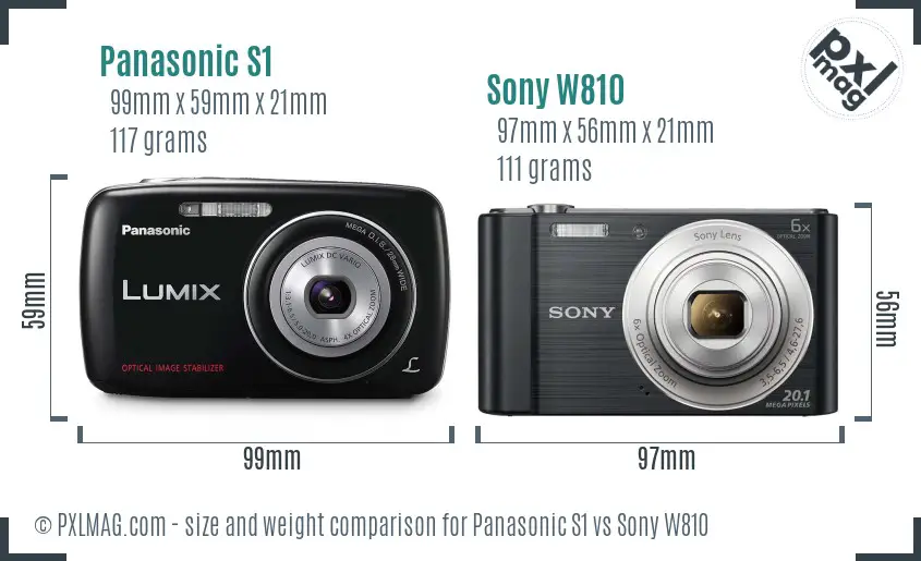 Panasonic S1 vs Sony W810 size comparison