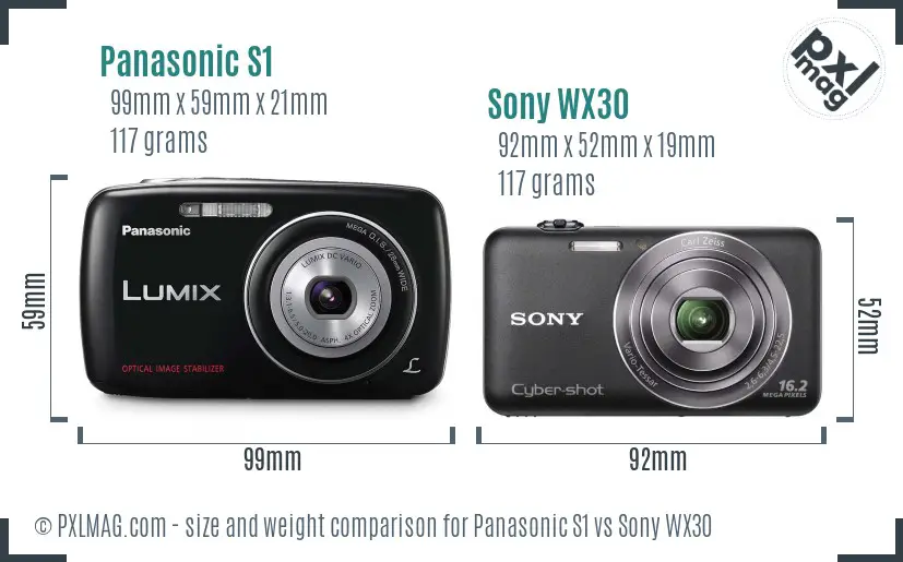 Panasonic S1 vs Sony WX30 size comparison