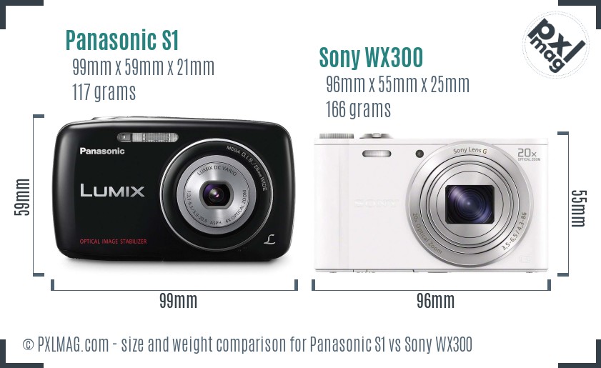 Panasonic S1 vs Sony WX300 size comparison