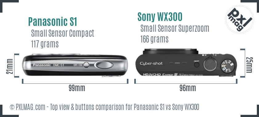 Panasonic S1 vs Sony WX300 top view buttons comparison