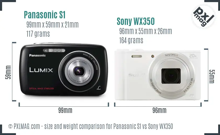 Panasonic S1 vs Sony WX350 size comparison