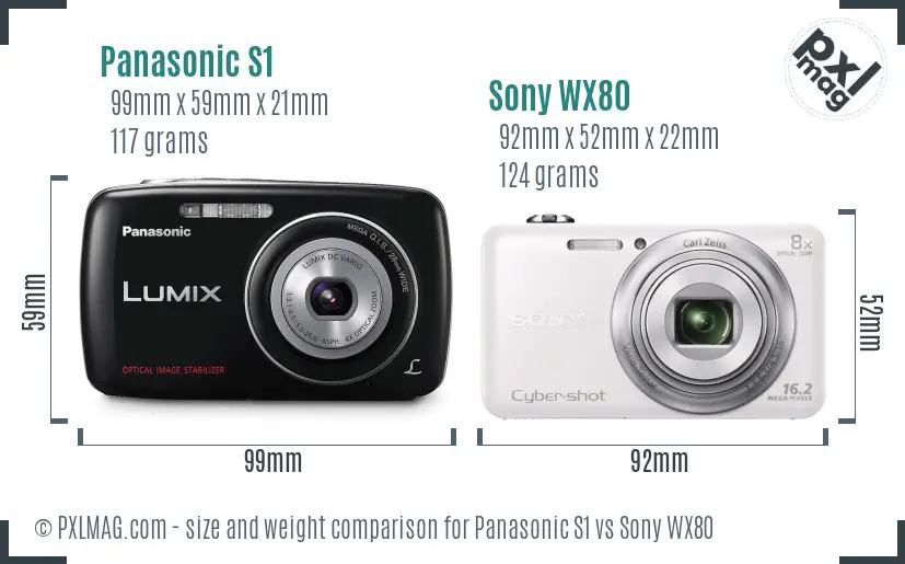 Panasonic S1 vs Sony WX80 size comparison