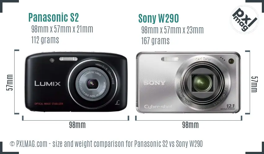 Panasonic S2 vs Sony W290 size comparison