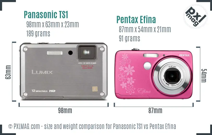 Panasonic TS1 vs Pentax Efina size comparison