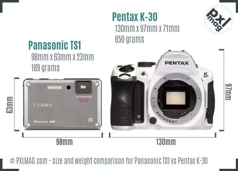 Panasonic TS1 vs Pentax K-30 size comparison