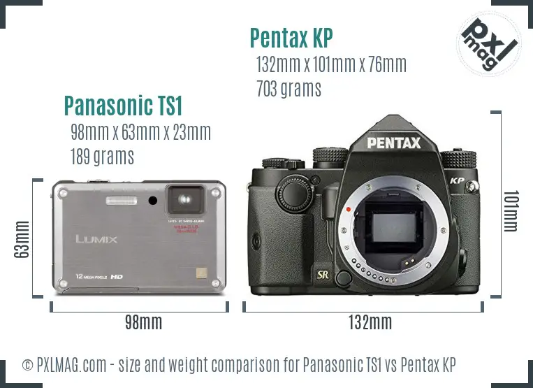 Panasonic TS1 vs Pentax KP size comparison