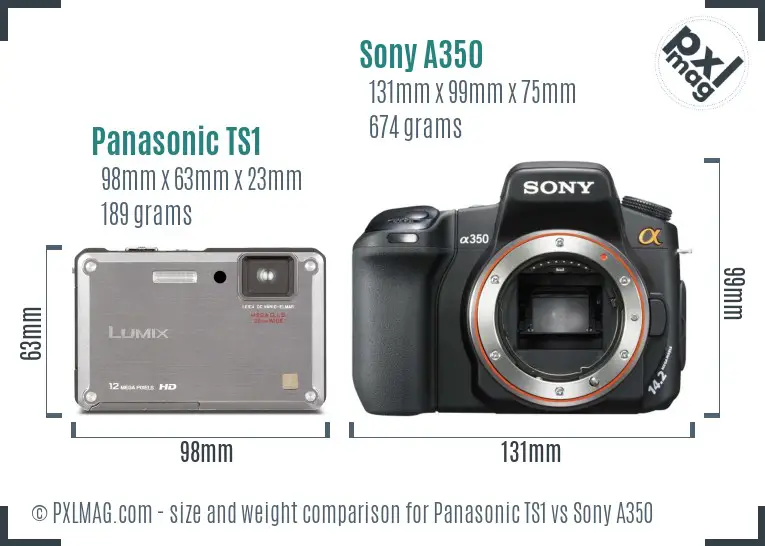 Panasonic TS1 vs Sony A350 size comparison