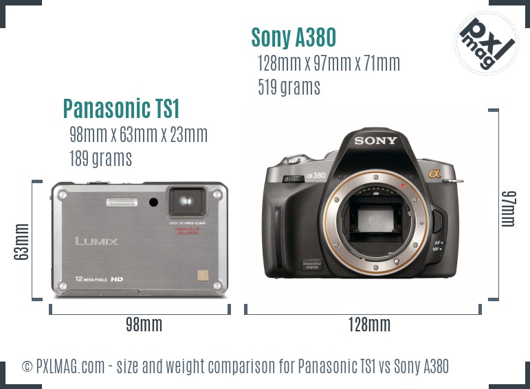 Panasonic TS1 vs Sony A380 size comparison